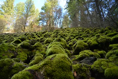 DSC_5959 (Large).JPG